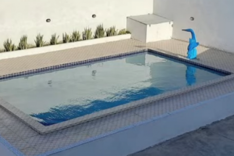 Criança de cinco anos morre afogada durante festa em piscina, na Paraíba
